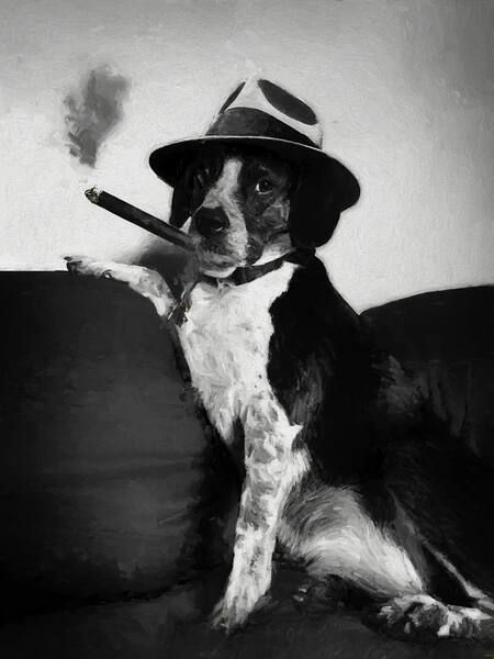 Entry image for Apollo. Clicking this image will show a larger photo