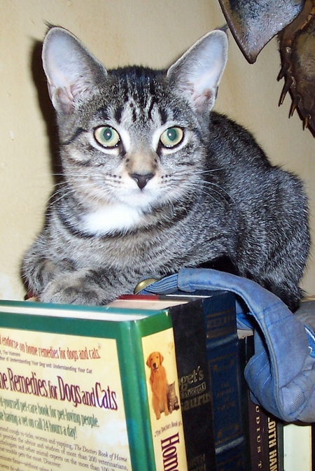 Entry image for Robbie. Clicking this image will show a larger photo