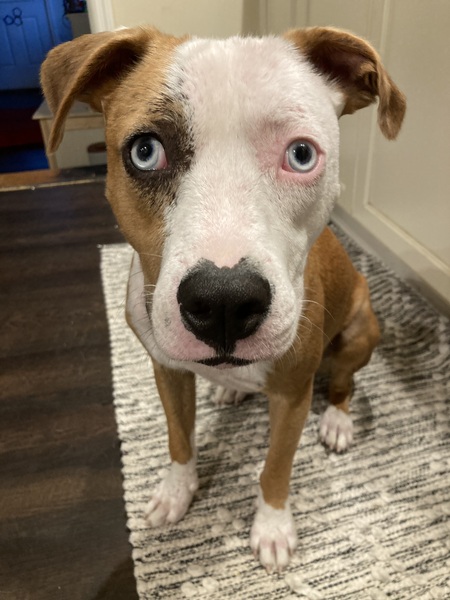 Entry image for Sunshine. Clicking this image will show a larger photo