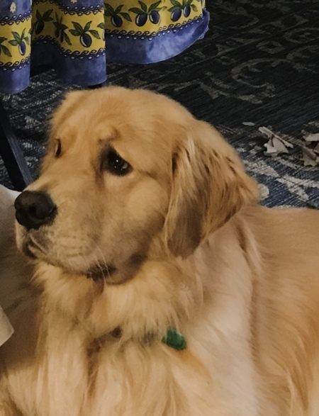 Entry image for PALLADIO . Clicking this image will show a larger photo