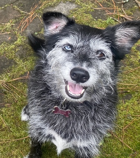 Entry image for Iva. Clicking this image will show a larger photo