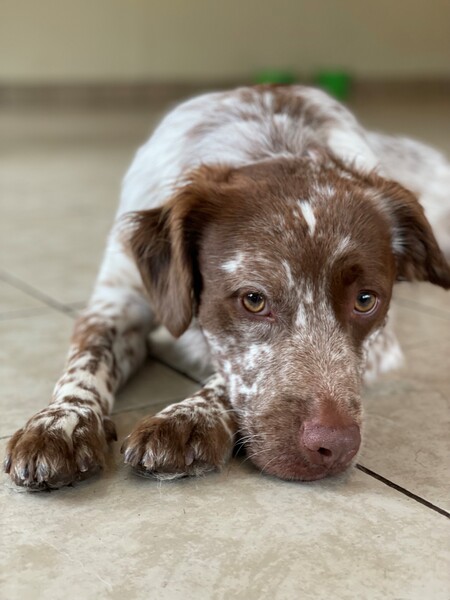 Entry image for Fifty. Clicking this image will show a larger photo