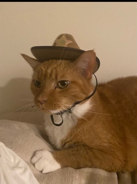 Entry image for Noah. Clicking this image will show a larger photo