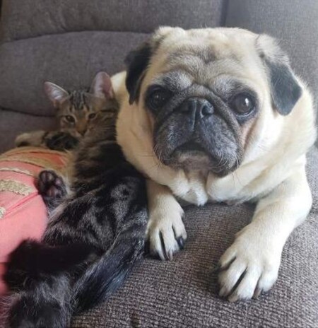 Entry image for Tamara . Clicking this image will show a larger photo