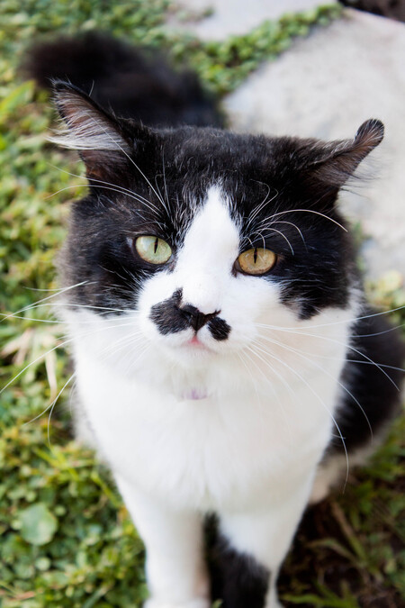 Entry image for Alex. Clicking this image will show a larger photo