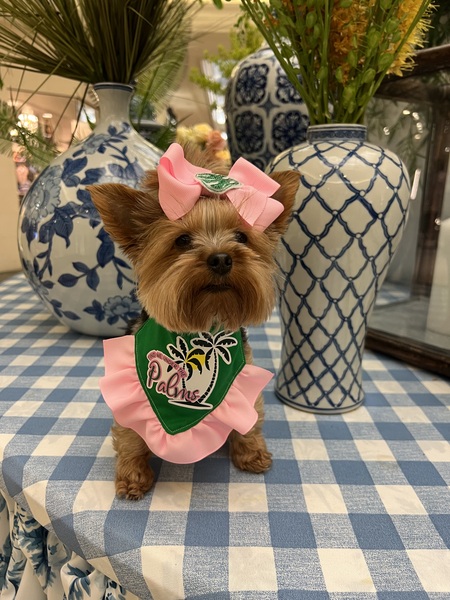 Entry image for Emily. Clicking this image will show a larger photo