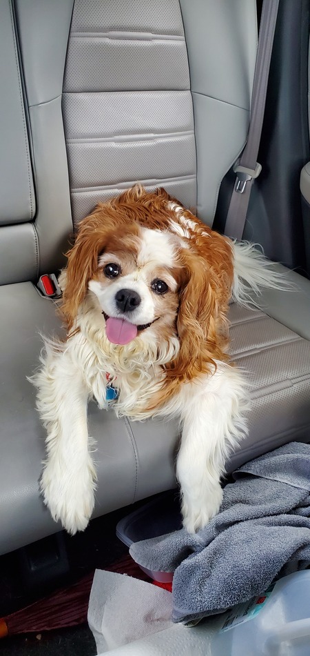 Entry image for Oakley . Clicking this image will show a larger photo