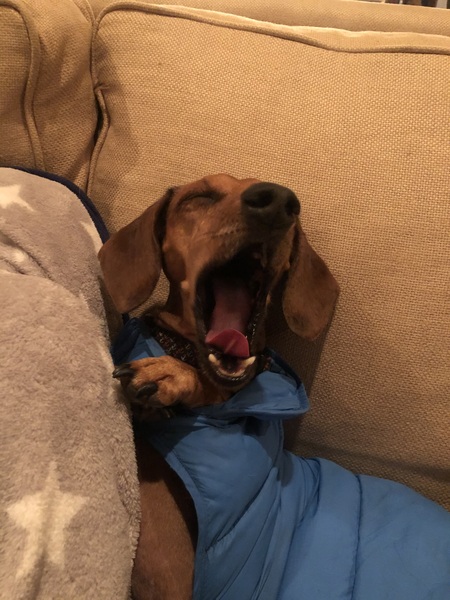 Entry image for Lucas. Clicking this image will show a larger photo