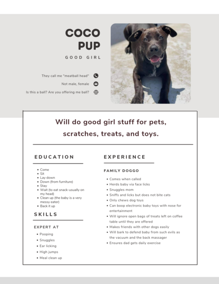 Entry image for Coco Pup . Clicking this image will show a larger photo