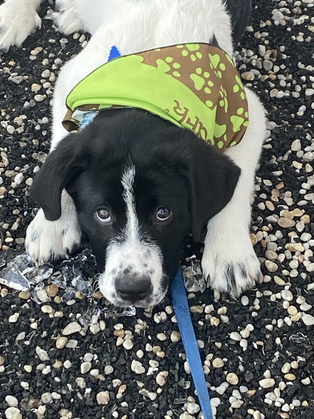 Entry image for Max. Clicking this image will show a larger photo