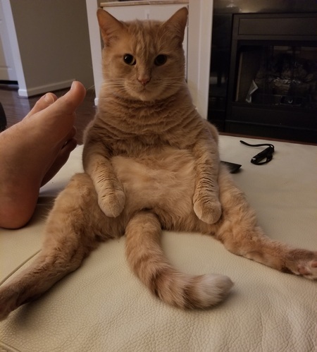 Entry image for Colonel Mustard. Clicking this image will show a larger photo