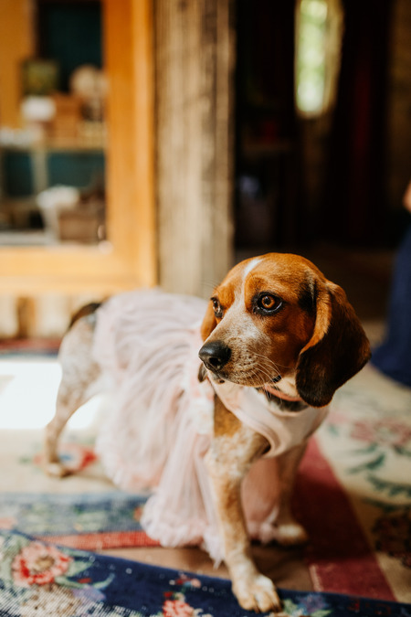 Entry image for Freckles. Clicking this image will show a larger photo