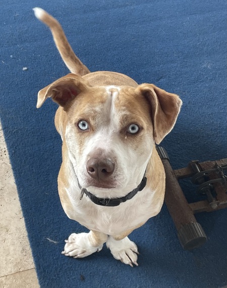 Entry image for Surdah. Clicking this image will show a larger photo