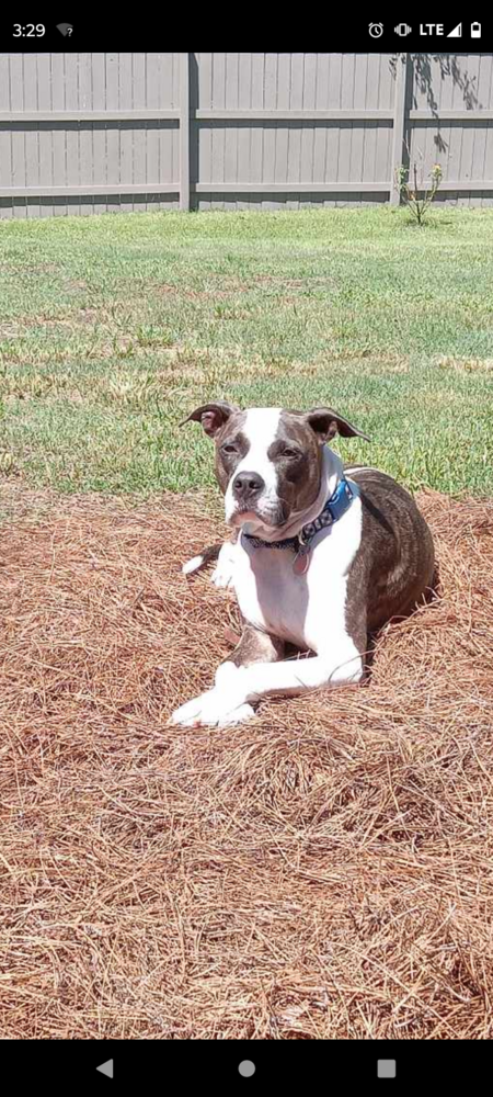 Entry image for Banks. Clicking this image will show a larger photo