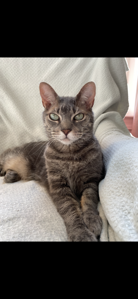 Entry image for Bert. Clicking this image will show a larger photo