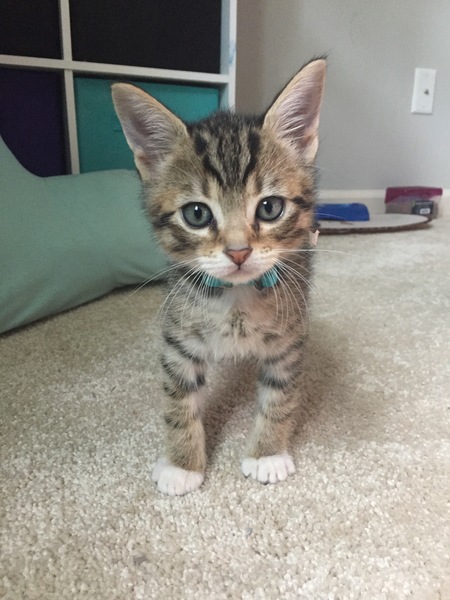 Entry image for Alex. Clicking this image will show a larger photo