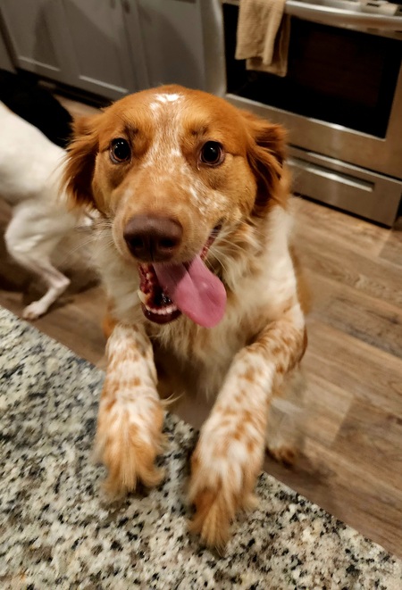 Entry image for Eleven. Clicking this image will show a larger photo