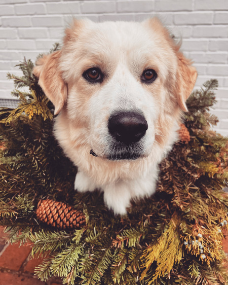 Entry image for Andorra. Clicking this image will show a larger photo