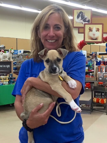 Entry image for Nola. Clicking this image will show a larger photo