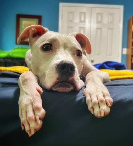 Entry image for Spirit . Clicking this image will show a larger photo