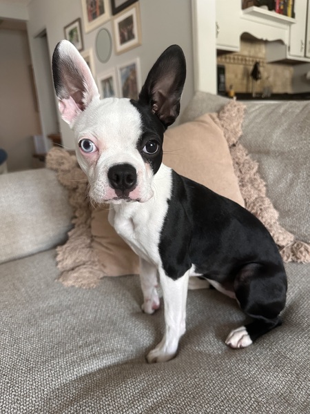 Entry image for Leila. Clicking this image will show a larger photo