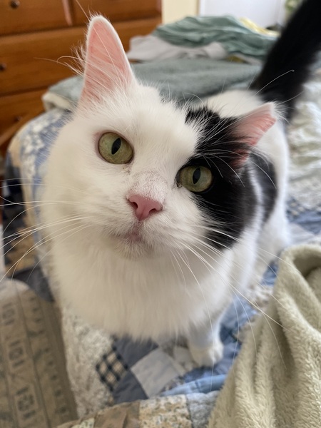 Entry image for whisper. Clicking this image will show a larger photo