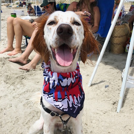 Entry image for Molly. Clicking this image will show a larger photo