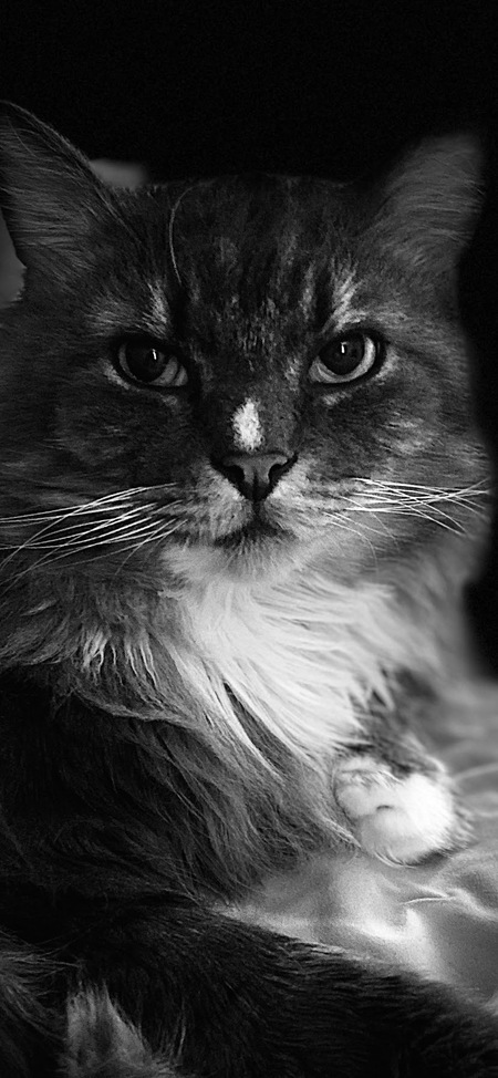 Entry image for Nawmin. Clicking this image will show a larger photo