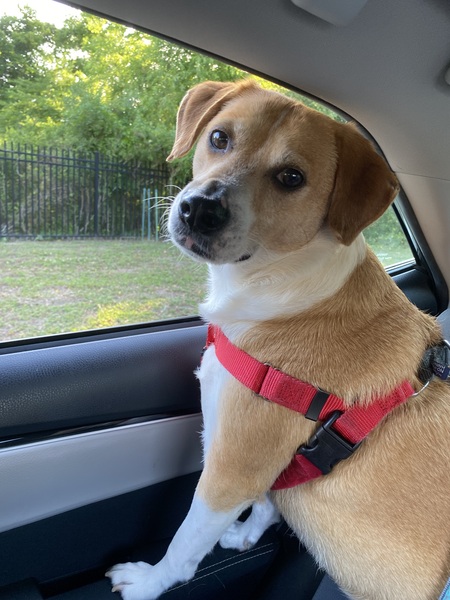 Entry image for Wimbledon . Clicking this image will show a larger photo