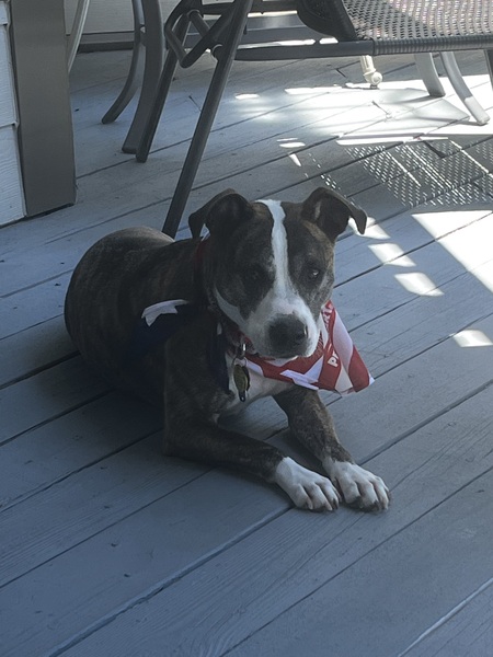 Entry image for Ashley. Clicking this image will show a larger photo