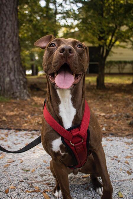 Entry image for Vida. Clicking this image will show a larger photo