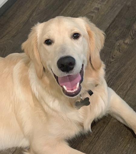 Entry image for Honey. Clicking this image will show a larger photo