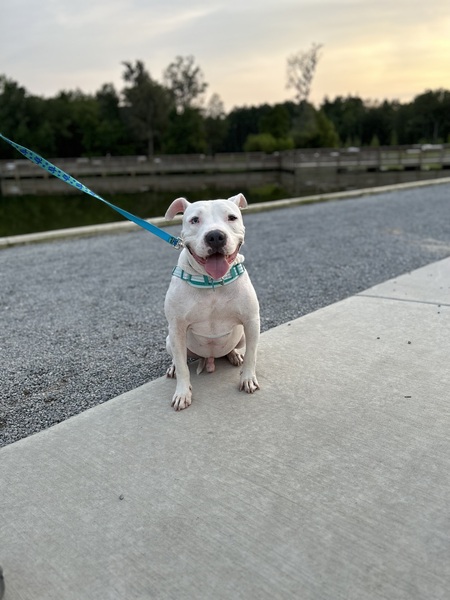 Entry image for Pablo. Clicking this image will show a larger photo