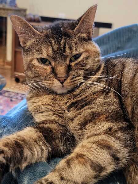 Entry image for Jenny Jones. Clicking this image will show a larger photo