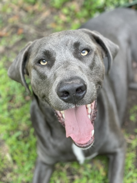 Entry image for Marclee. Clicking this image will show a larger photo