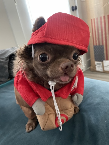 Entry image for Beatrice . Clicking this image will show a larger photo