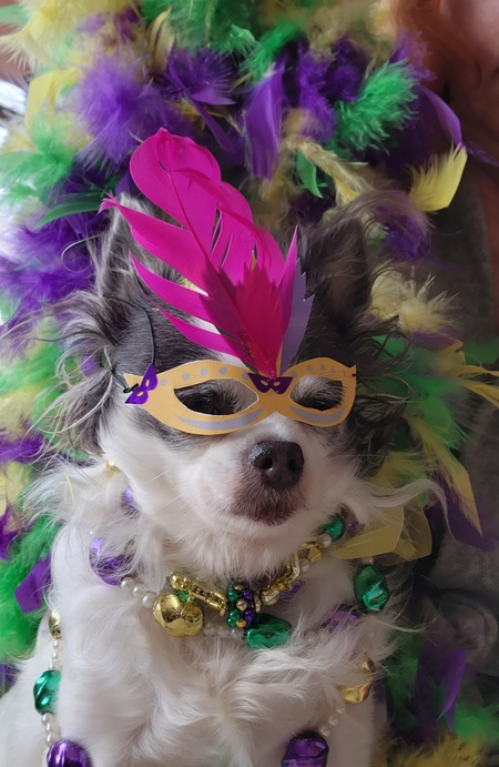 Entry image for Ellie May Love. Clicking this image will show a larger photo