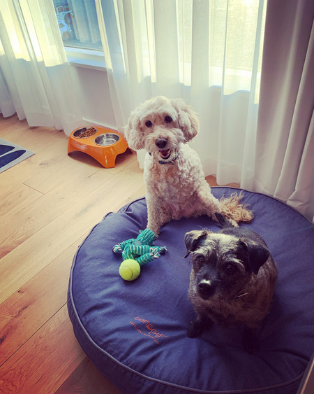 Entry image for Lucy and Griffin. Clicking this image will show a larger photo