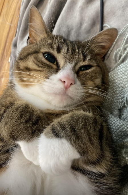 Entry image for Winter Biscuits. Clicking this image will show a larger photo