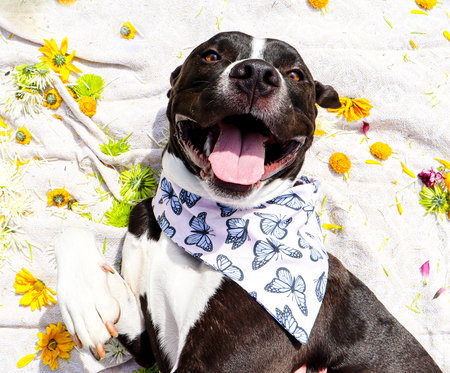 Entry image for Poncho Hughes. Clicking this image will show a larger photo