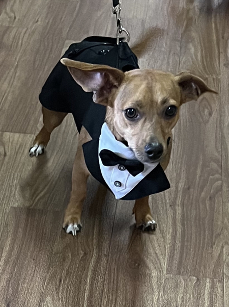 Entry image for Pontchartrain. Clicking this image will show a larger photo