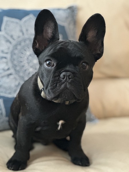 Entry image for Eddy Young . Clicking this image will show a larger photo