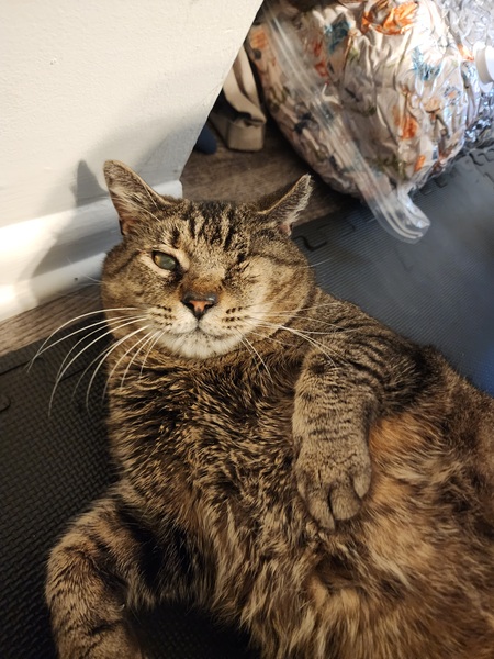 Entry image for Capt. Jack. Clicking this image will show a larger photo