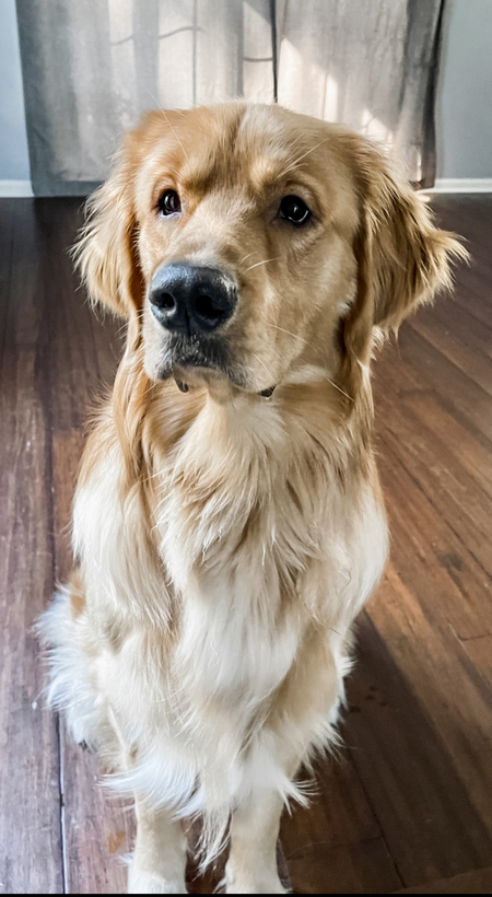 Entry image for Esso Howard. Clicking this image will show a larger photo