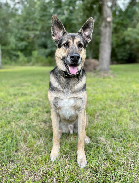 Entry image for Axel. Clicking this image will show a larger photo