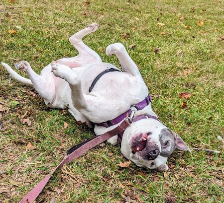 Entry image for Ashley. Clicking this image will show a larger photo