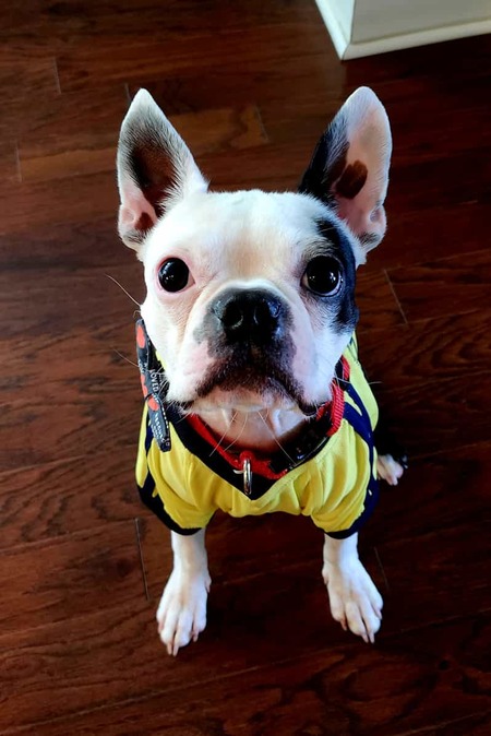 Entry image for Lucas. Clicking this image will show a larger photo