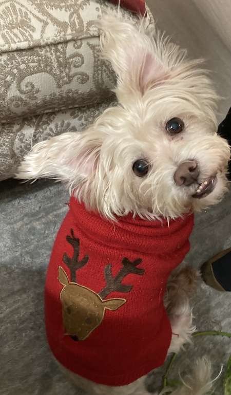 Entry image for max. Clicking this image will show a larger photo