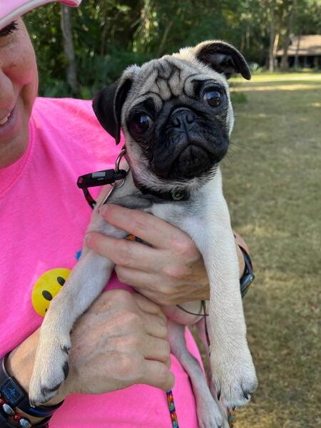 Entry image for Mika Senrika Morris. Clicking this image will show a larger photo