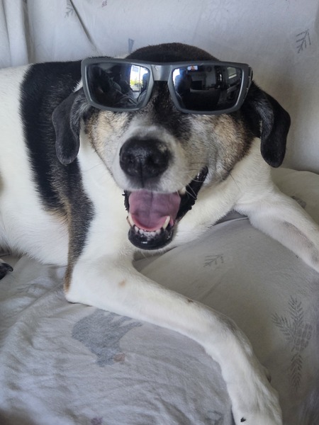 Entry image for Jerry. Clicking this image will show a larger photo